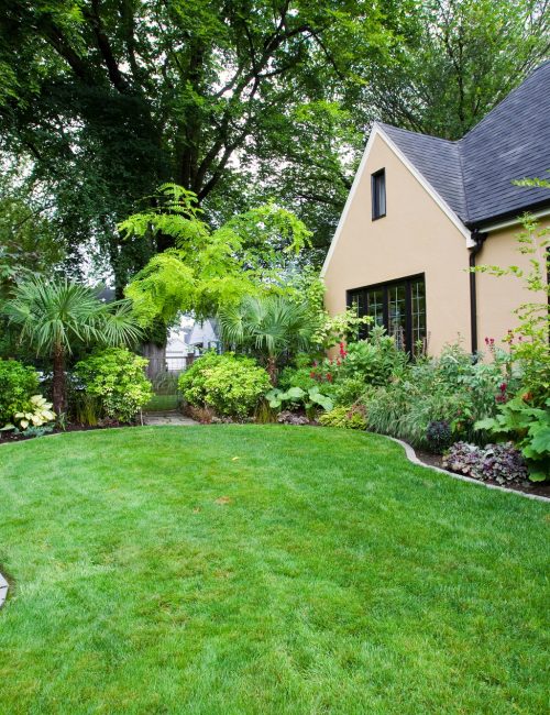 House and Landscaped Yard House and Landscaped Yard