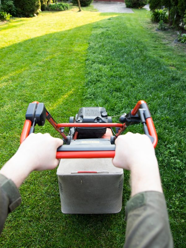 Lawn mover on green grass. Machine for cutting lawns. Lawn mover on green grass. Machine for cutting lawns.