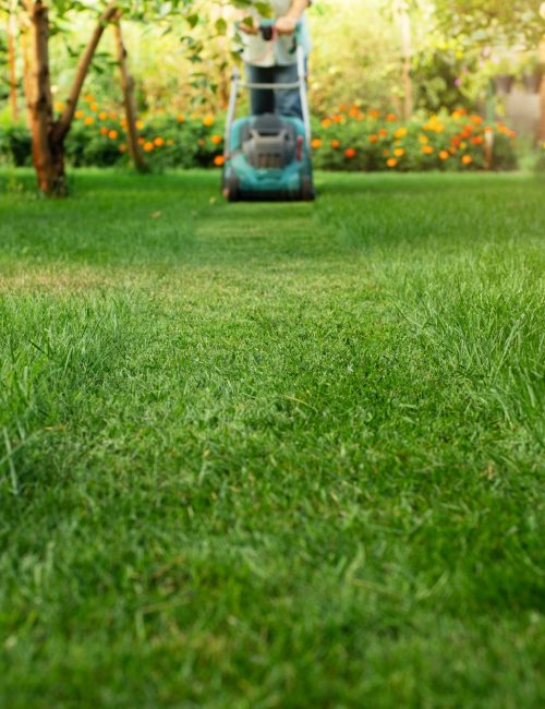 Man pushing lawn mower. Lawn care background, place for text Man pushing lawn mower. Lawn care background, place for text