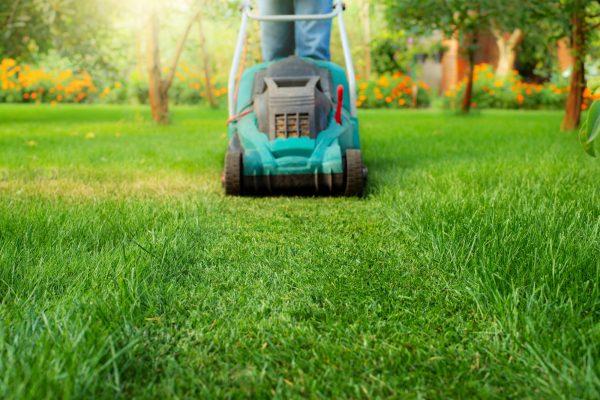 Man pushing lawn mower. Lawn care background, place for text