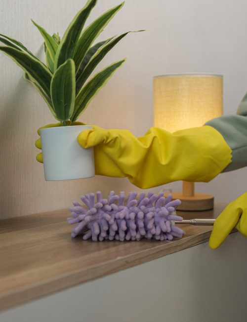 the housewife is cleaning the house, the wife is cleaning the house the housewife is cleaning the house, the wife is cleaning the house